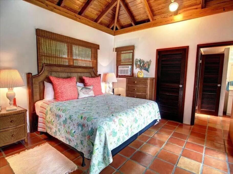 Cielo Vista Villa 3 Bdrm Sleeps 6 Heavenly View Cruz Bay Εξωτερικό φωτογραφία