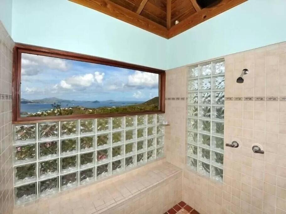 Cielo Vista Villa 3 Bdrm Sleeps 6 Heavenly View Cruz Bay Εξωτερικό φωτογραφία
