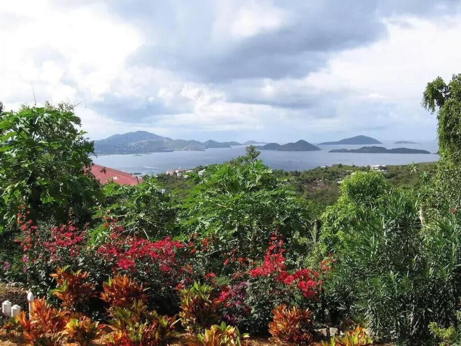 Cielo Vista Villa 3 Bdrm Sleeps 6 Heavenly View Cruz Bay Εξωτερικό φωτογραφία